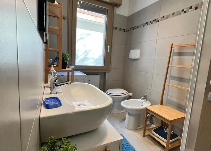 Centro Eleganza E Comfort Conegliano